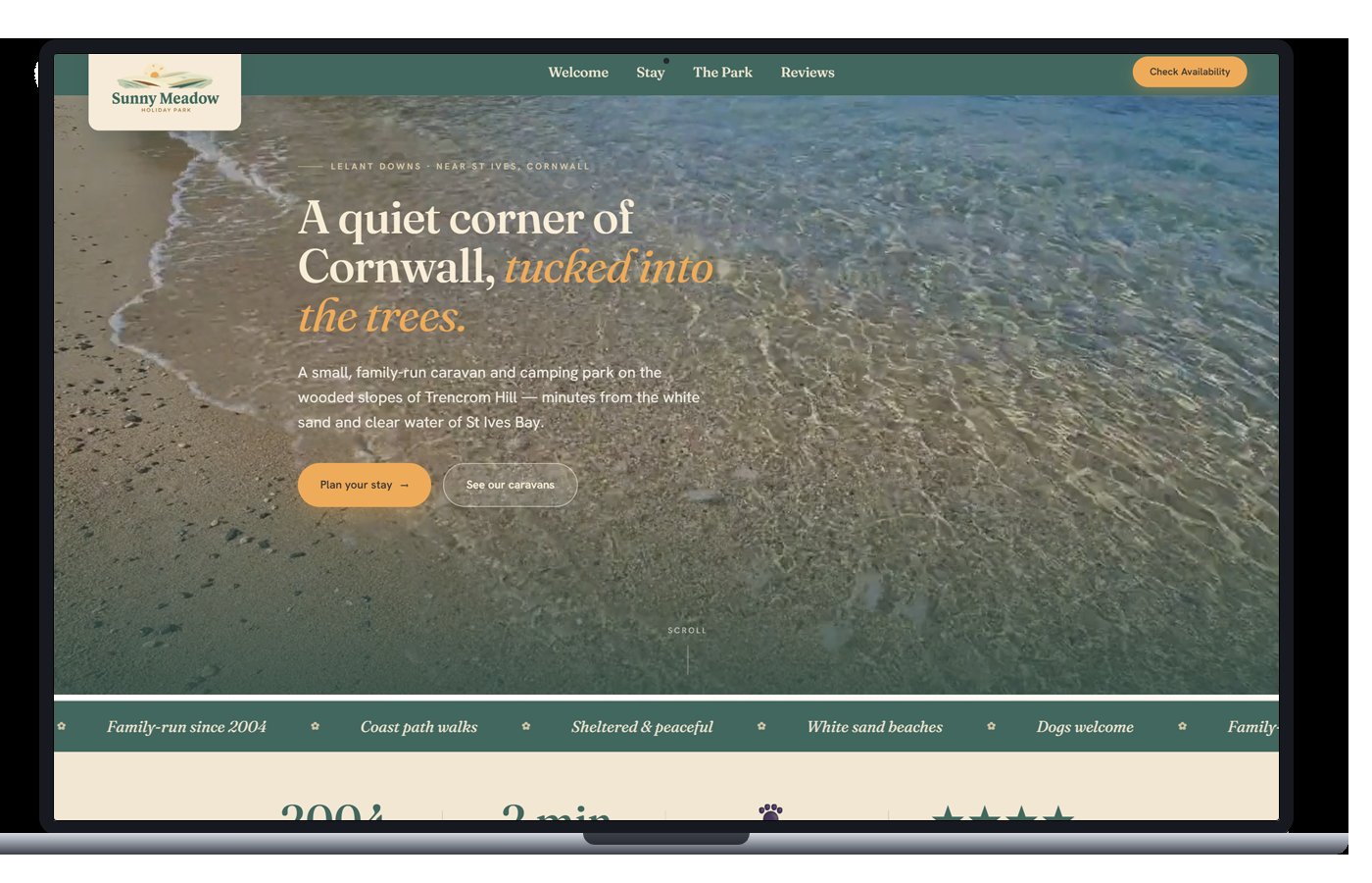 Web Design